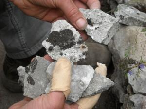 Pepa poroča iz Londona Dobila sem pozlačeno srebro10